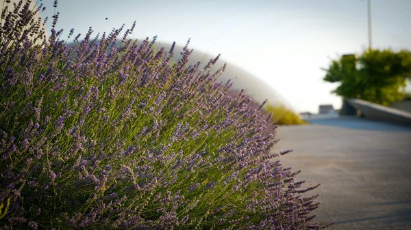 Comment entretenir efficacement les meubles en bois : astuces et conseils