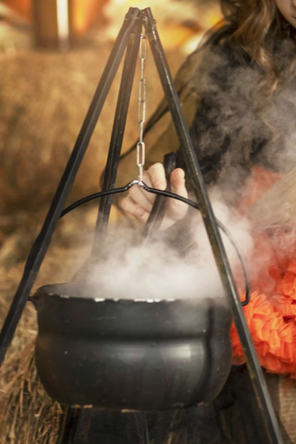 Des pages aux projecteurs : quand les livres deviennent des phénomènes cinématographiques