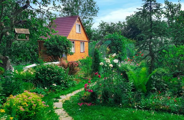 Quels sont les indispensables à avoir dans son jardin ?