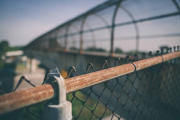 des idées pour créer un jardin de ville avec des plantes adaptées à l'espace restreint