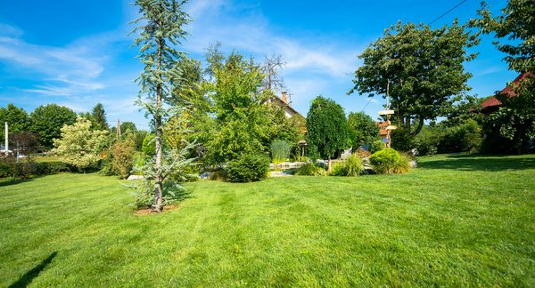 Conseil de jardinage : Comment créer un espace détente agréable dans son jardin ?