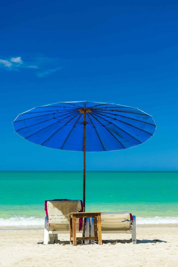 Parasol déporté : comment réussir son entretien ?